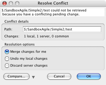 Version Conflict Dialog